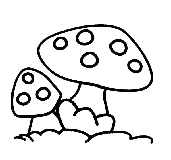 champignon